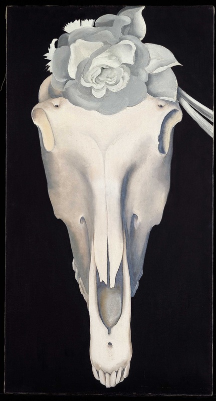 Abstraction White Rose. Horse Skull With White Rose